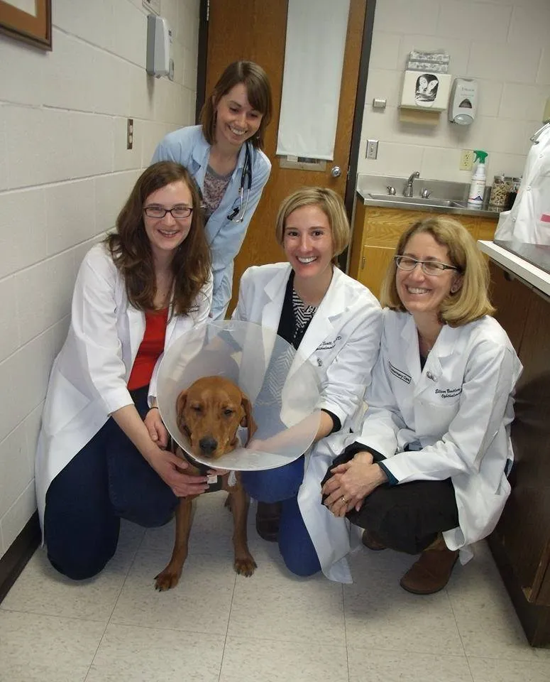 spinnerWithVetTechnicians